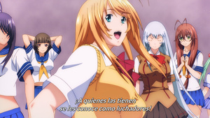 Shin Ikkitousen